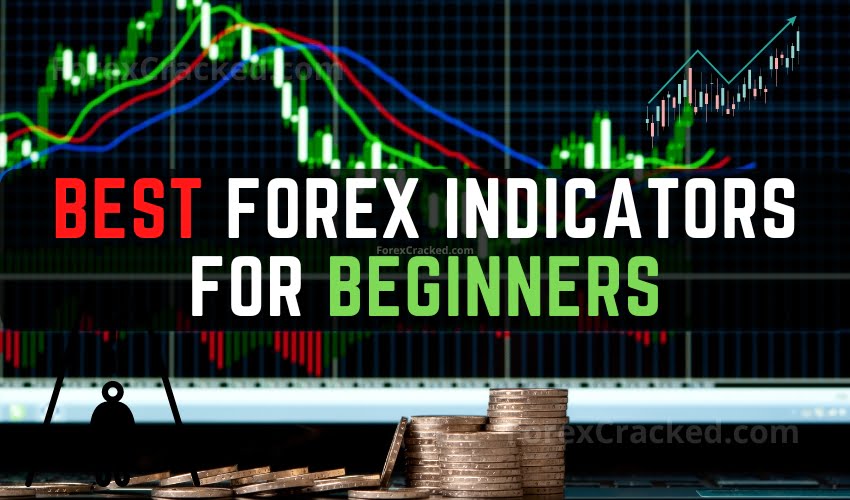 OQtima Trader Login: Access Your Account Easily